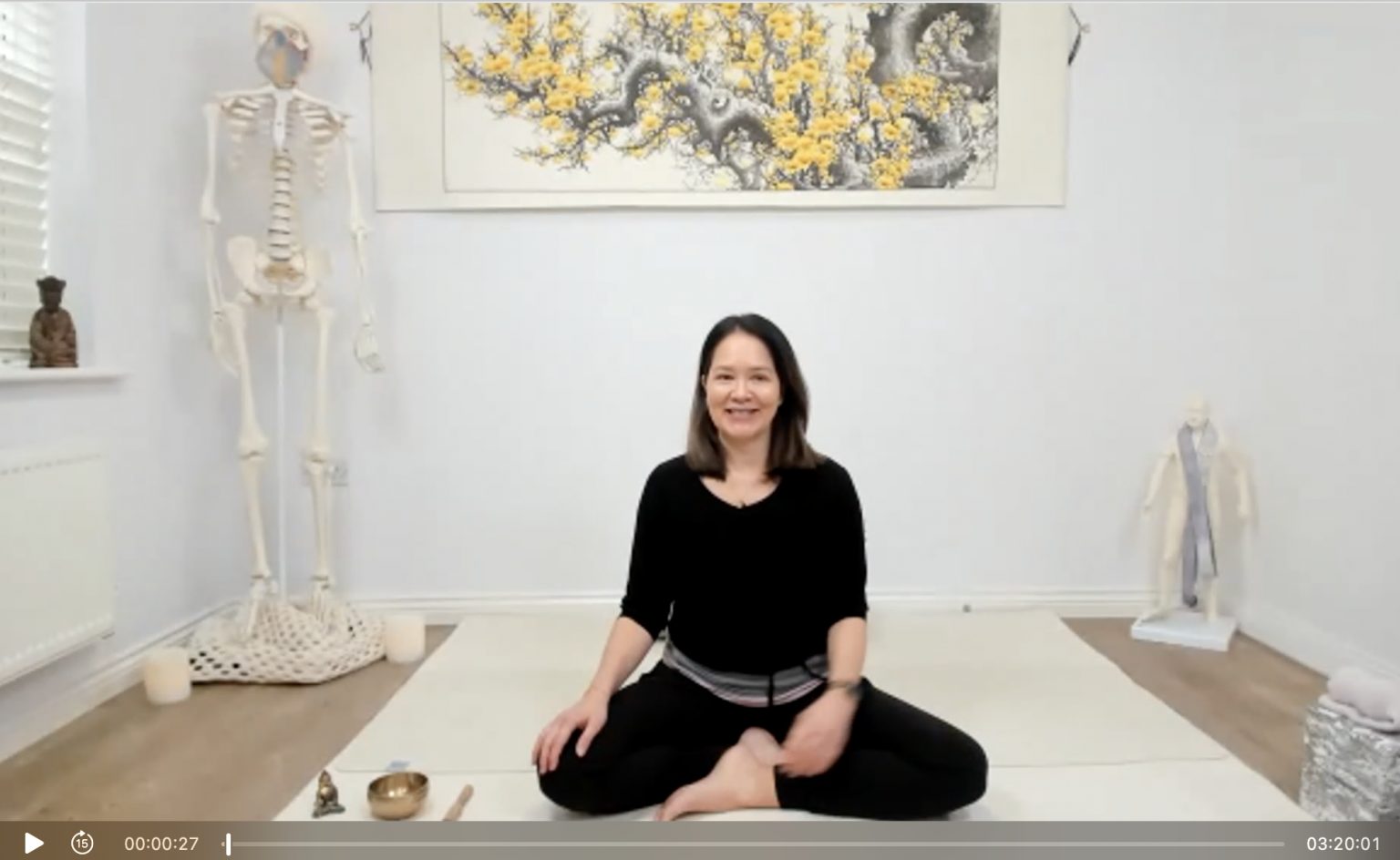 Online live yoga classes with Sarah Lo via Zoom Beat the isolation!